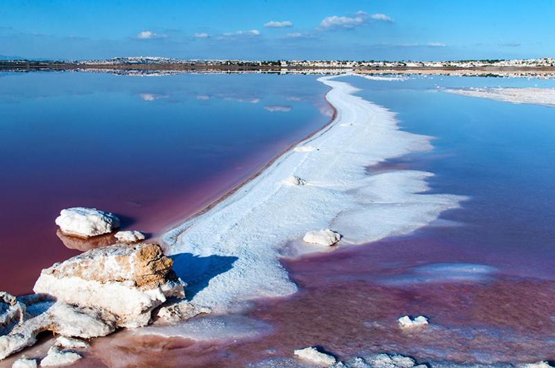 Torrevieja Experience San Julian Leilighet Eksteriør bilde
