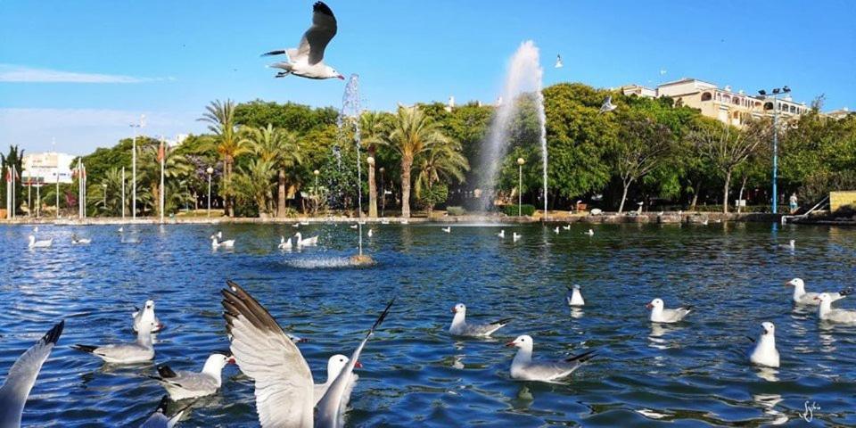 Torrevieja Experience San Julian Leilighet Eksteriør bilde